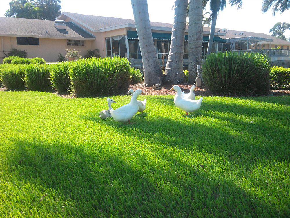 Hollywood Beach Golf Resort Luaran gambar